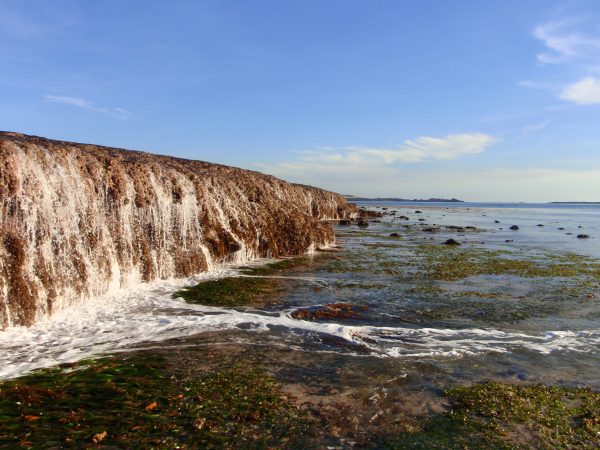 Rapid Sea Level Rise Might Actually Benefit Some Coral Reefs