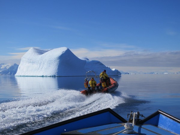 What happens when you heat the Antarctic Ocean by a single degree?