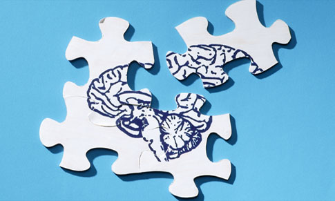 Cracking the Autism Puzzle