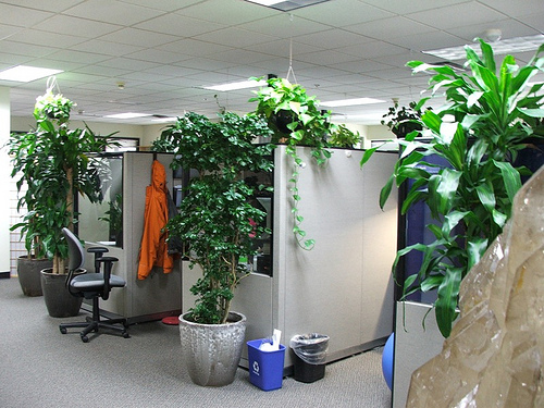 5 Things: Make Your Office More Eco-Friendly