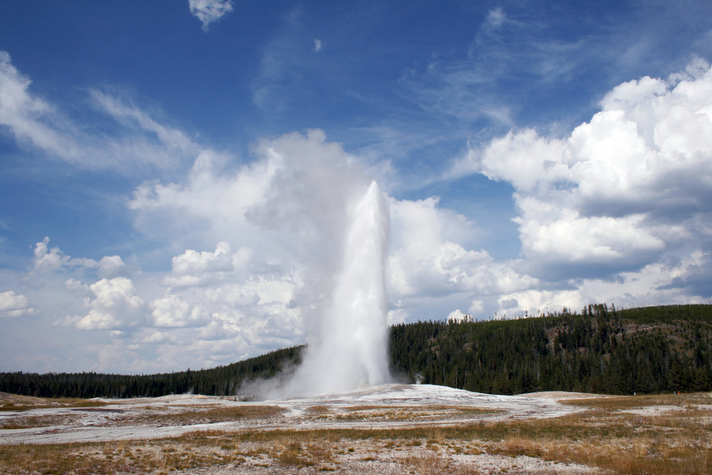 old faithful