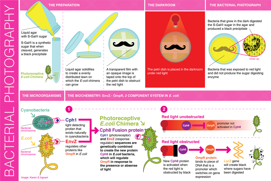 httpswww.popsci.comsitespopsci.comfilesimport2013image003.jpg