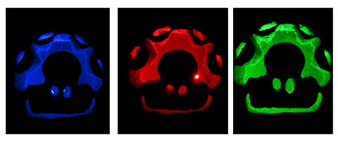 LED-lit pumpkins that look like Super Mario-style mushrooms.