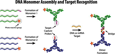 Handheld Pathogen Sensor Could Diagnose HIV in 30 Minutes