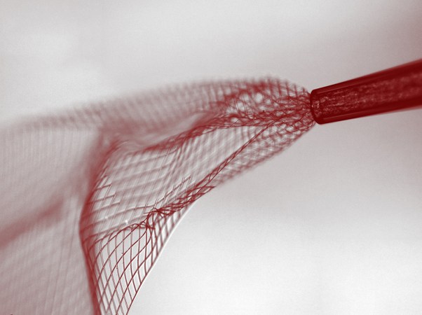 Injectable, Flexible Mesh Picks Up Activity In Mouse Brains