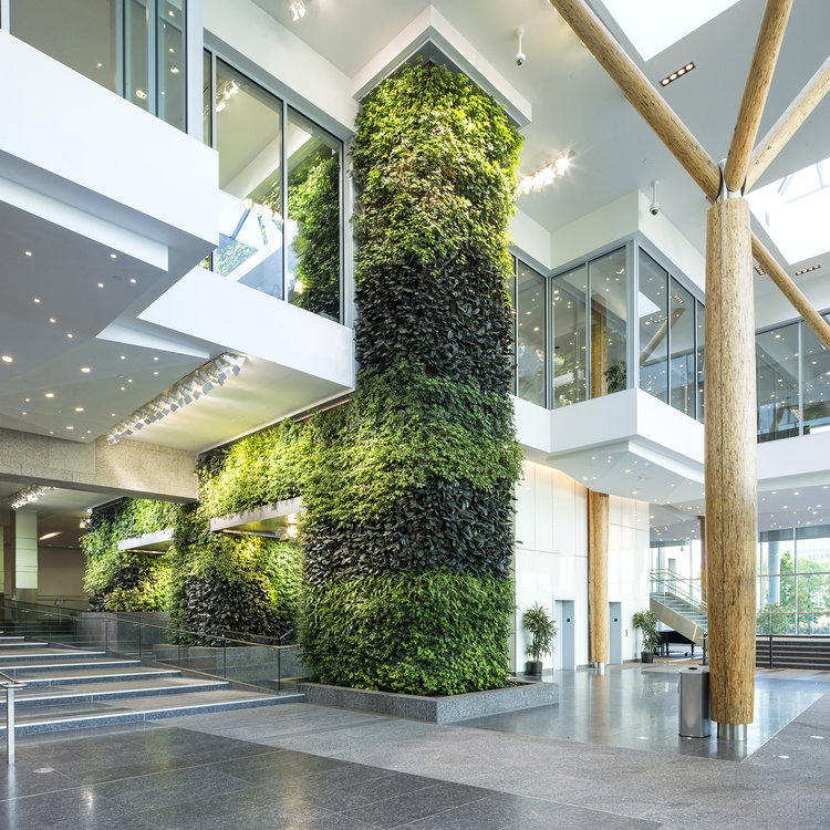 Green wall Green Roofs for Healthy Cities design air filtration