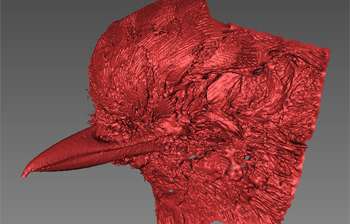 Researchers Seek Citizen Scientists To Scan The Beaks Of Every Bird Species On The Planet