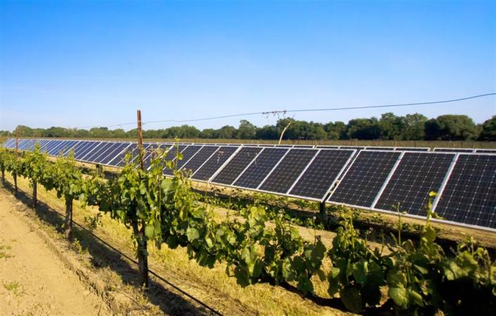 Thieves Use Google Earth to Find and Plunder Wineries’ Solar Panels