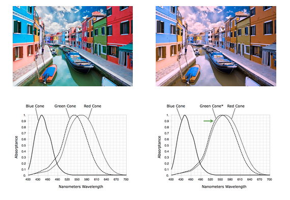 Glasses Let The Colorblind See Pigments For The First Time