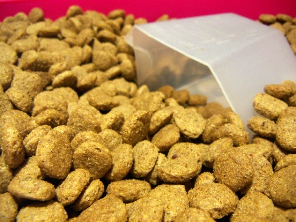 The best dog treats of 2023