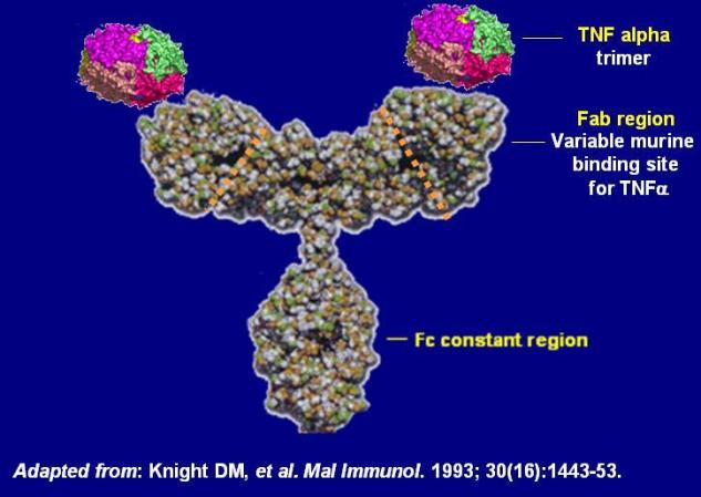 What Is A Biosimilar Drug?