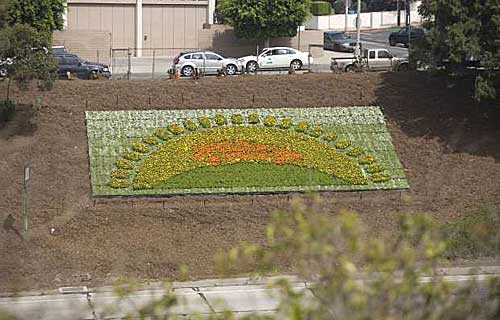 Toyota Engineers Two New Flower Species to Offset Manufacturing Carbon