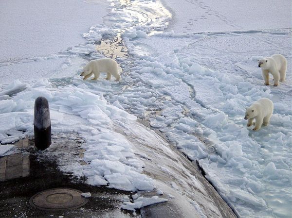 Climate Change Cruise Will Bring Tourists Across The Melted Arctic