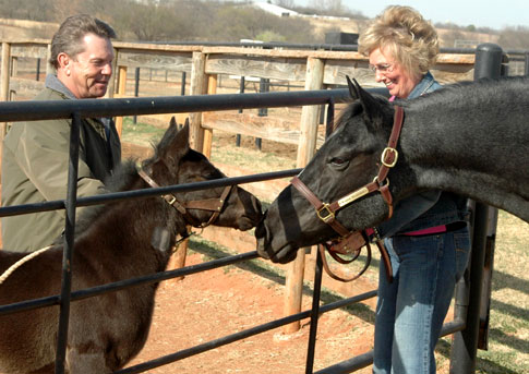 Cloning Horses: Secretariat II?