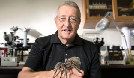 man holding a spider