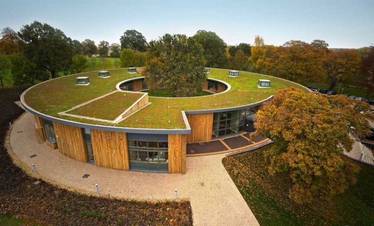 To combat extreme heat, cover your roof in hungry, sweaty plants