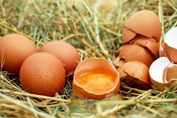 An egg a day could help babies grow bigger and taller