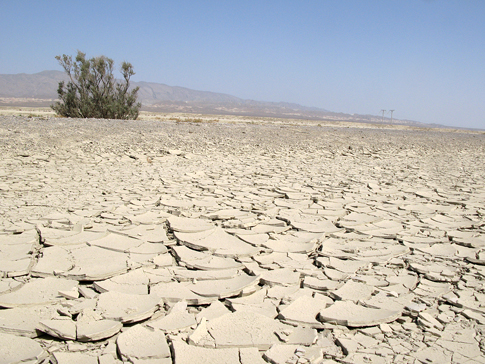 Report: 300,000 Die Every Year From Climate Change