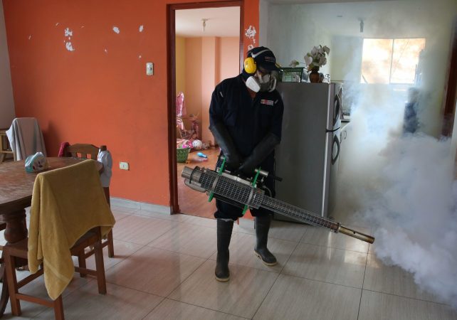 Zika Virus Declared A Global Health Emergency