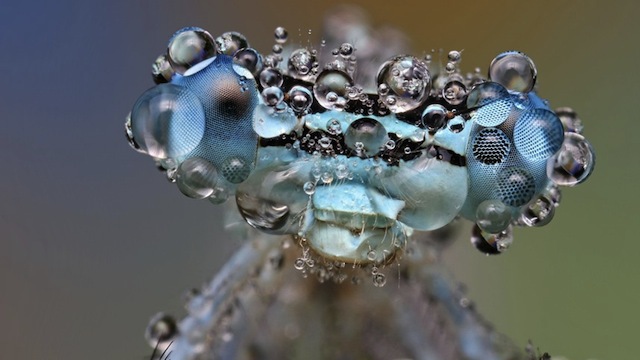 The Most Amazing Science Images of the Week, March 12-16, 2012