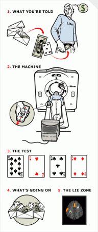 Is Foolproof Lie Detection in the Cards?