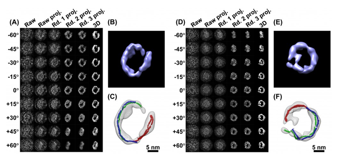 Video: Researchers Produce the First High-Quality 3-D Images of an Individual Protein