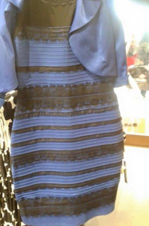 The Science Of Why No One Can Agree On The Color Of That Dress