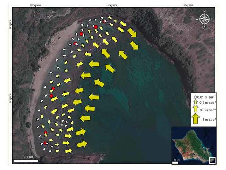 Map of current flow at Hanauma Bay Nature Preserve