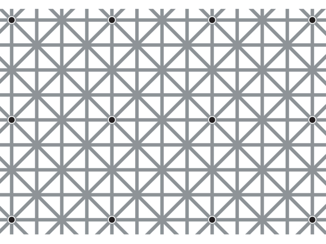 black dot illusion