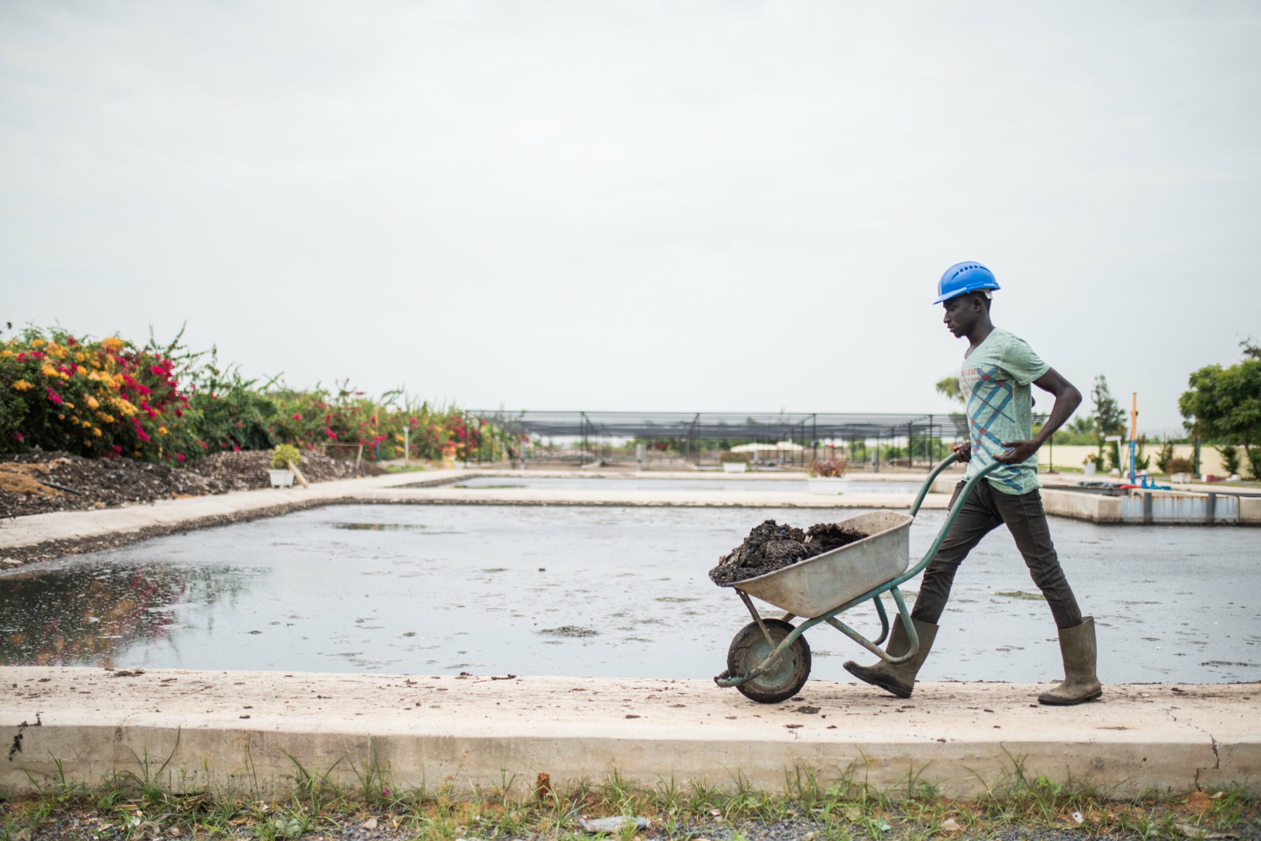 Gates Foundation waste for composting