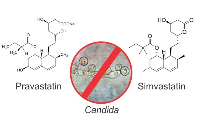 A New Frontier For Statins