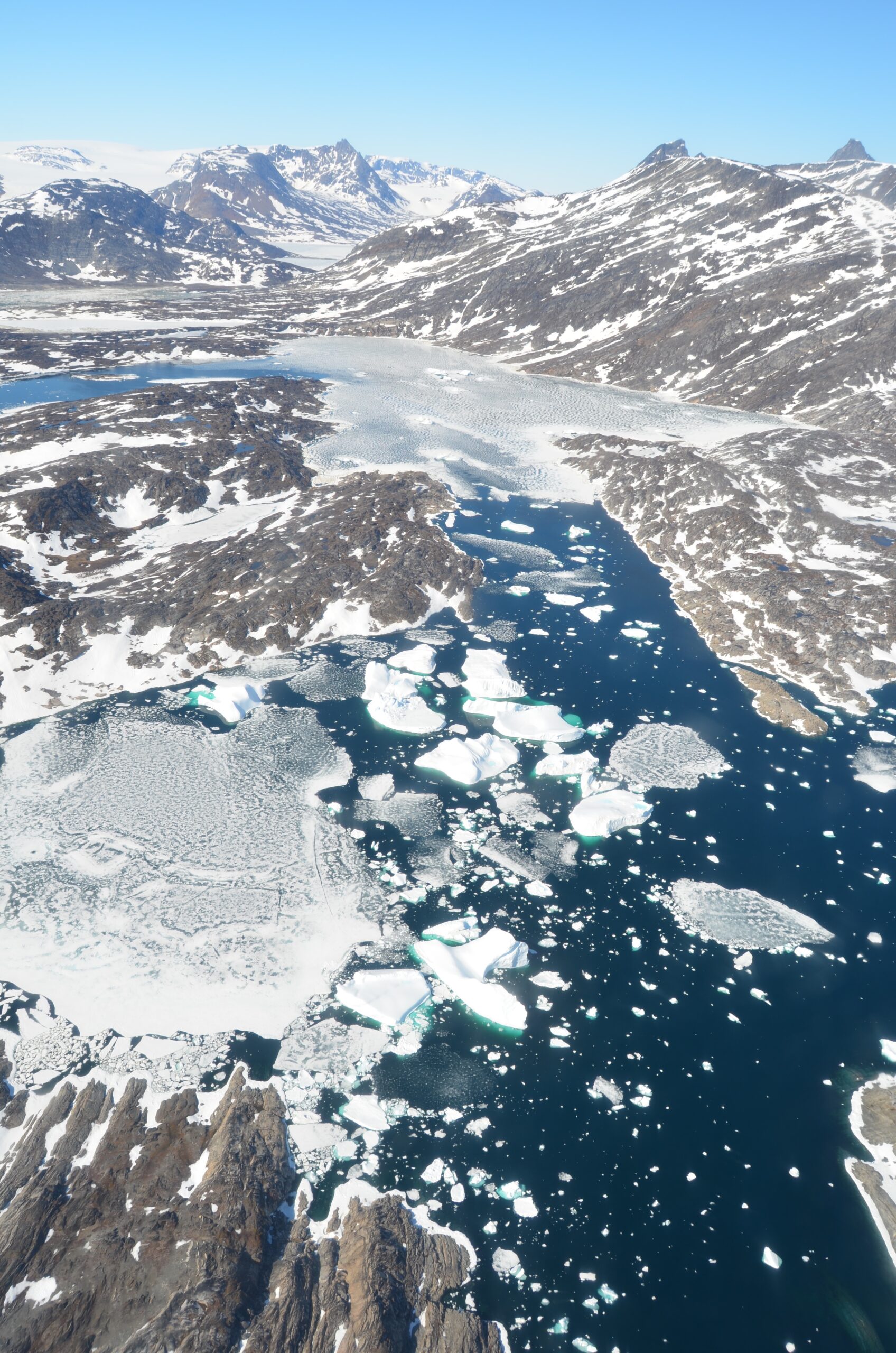 Icebergs Greenland