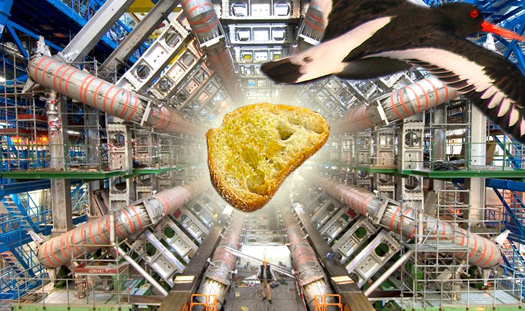 Baguette Dropped From Bird’s Beak Shuts Down The Large Hadron Collider (Really)