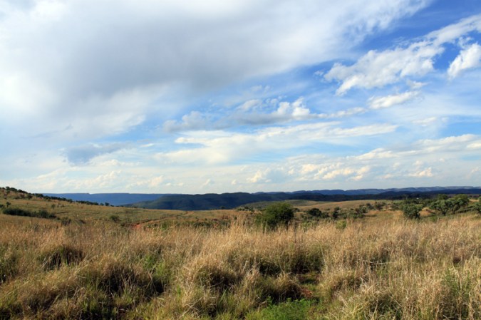 How South Africa’s ‘Cradle of Humankind’ got the title