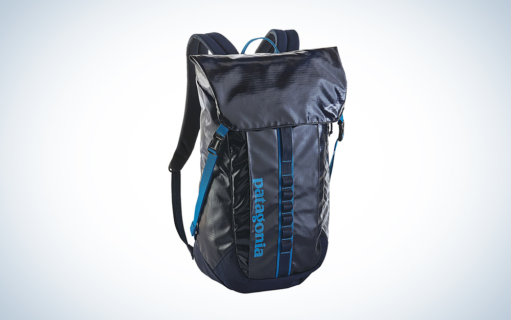 Patagonia Black Hole Backpack