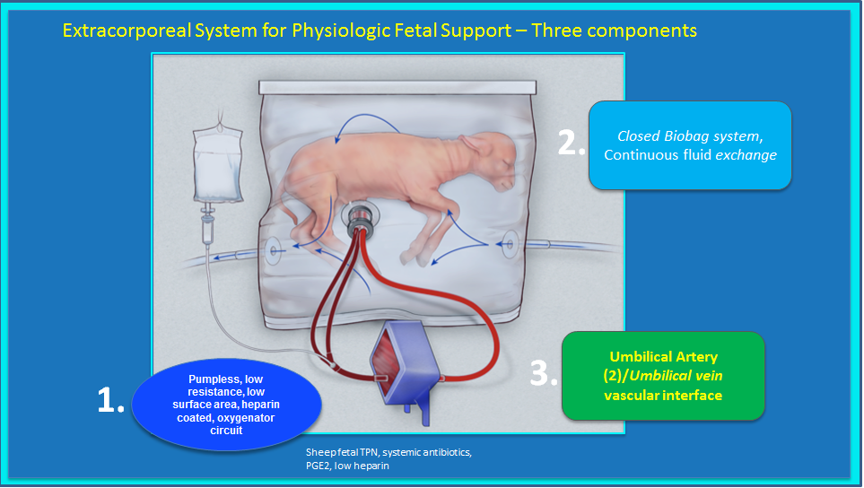 artificial womb