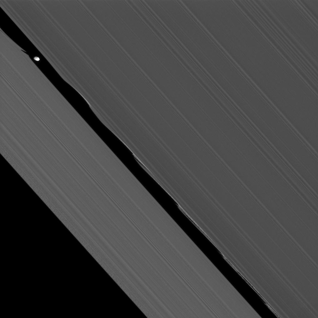 daphnis moon in gap