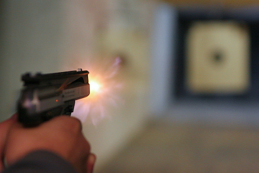 A Pollen Coating Could Help Identify Who Fired a Bullet