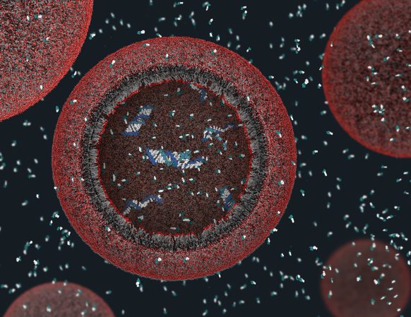 Researchers Make Artificial Cells That Can Replicate Themselves