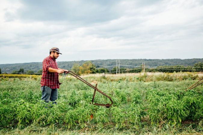 Farmer plowing field