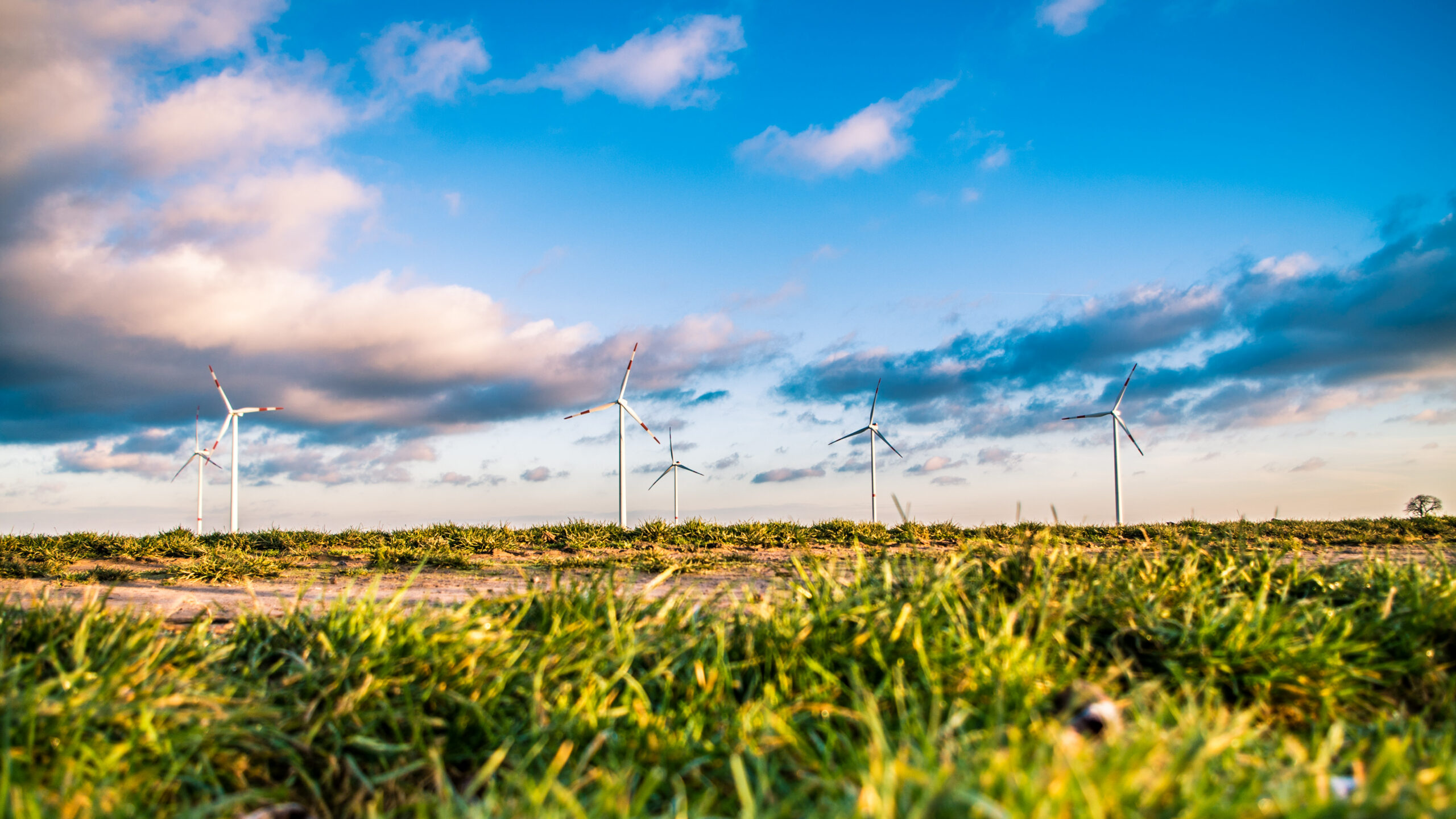 China produces the vast majority of neodymium and dysprosium, two metals used in wind turbines.