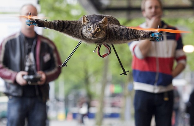 Video: Dutch Artist Turns His Dead Cat Into a Flying Quadcopter