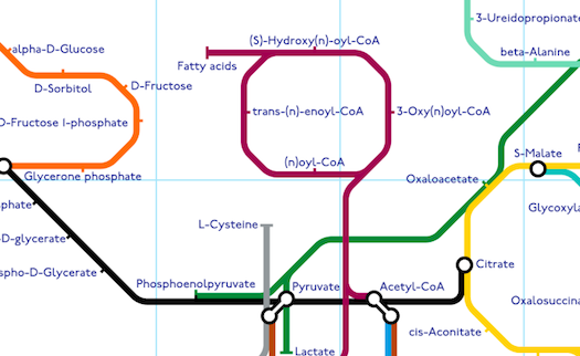 A Subway Map Of The Metabolism [Infographic]