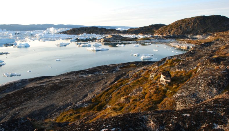 Microbes Are Partly To Blame For Arctic’s Melting Permafrost