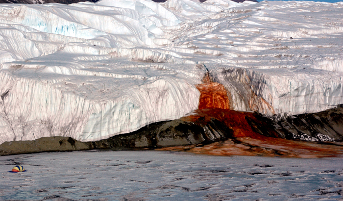 Life Thrives Below Antarctic Glacier