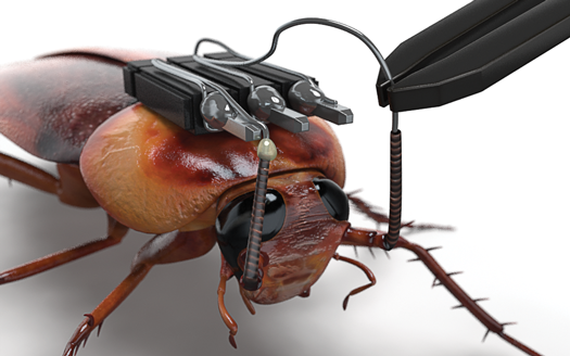 How To Hack A Cockroach So You Can Control It With Kinect