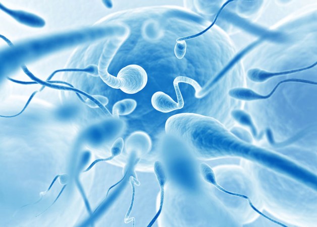 There may be something weird going on with Western men’s sperm