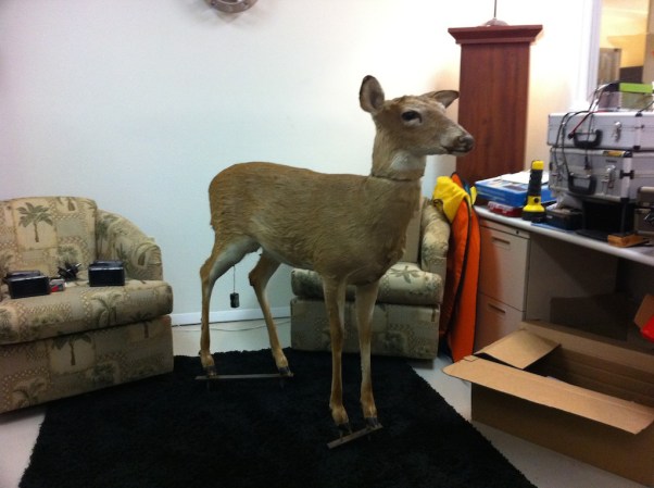 How To Build A Robo-Deer To Catch Poachers