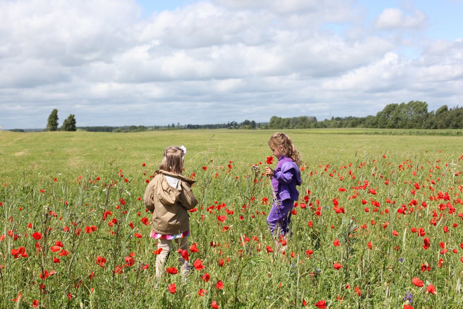 kids playing in a field