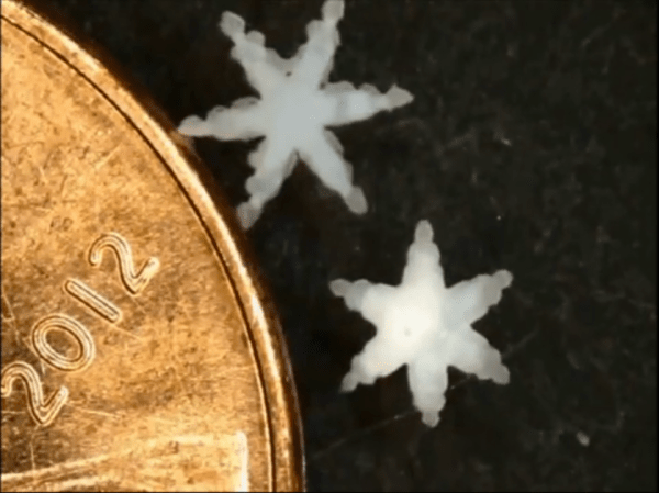 Watch These Star-Shaped Micro-Robots Perform Mini Biopsies